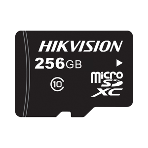 MICRO SD 256GB ESPECIAL