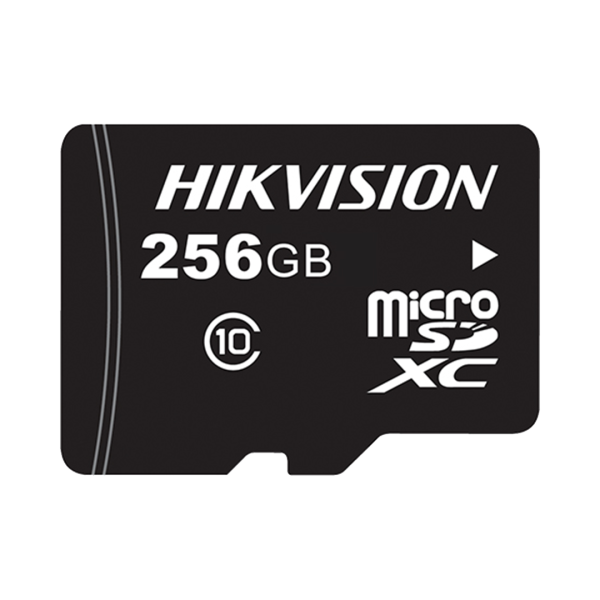 MICRO SD 256GB ESPECIAL